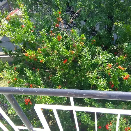 Apartment Bella Marija Zengg Kültér fotó